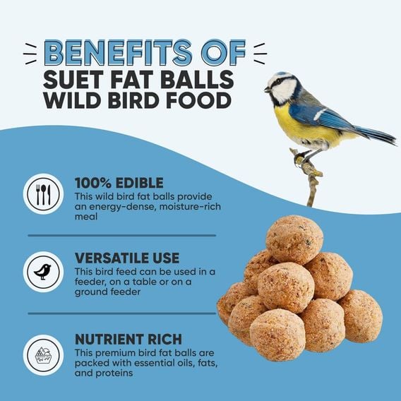 Happy Beaks - High Energy Premium Fat Balls (90g)